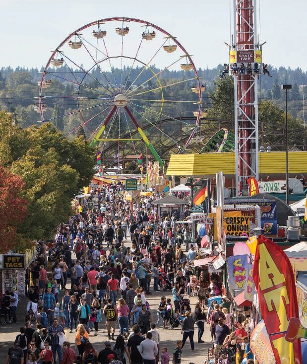 The Fair Cropped